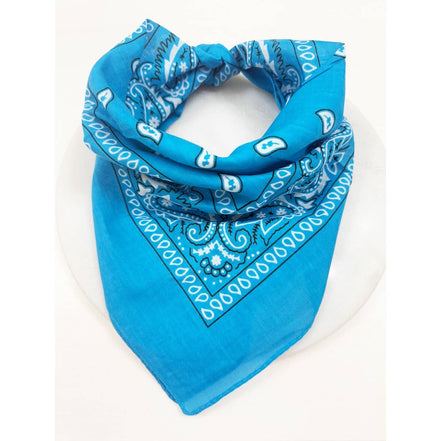 BLUE Pasley Pattern Bandanas: BLUE / ONE(12)