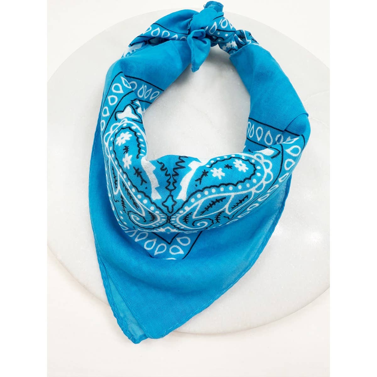 BLUE Pasley Pattern Bandanas: BLUE / ONE(12)
