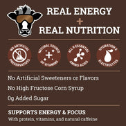 Dr. Cal's Energized Milk Chocolate Milk Energy Drink - 12PK