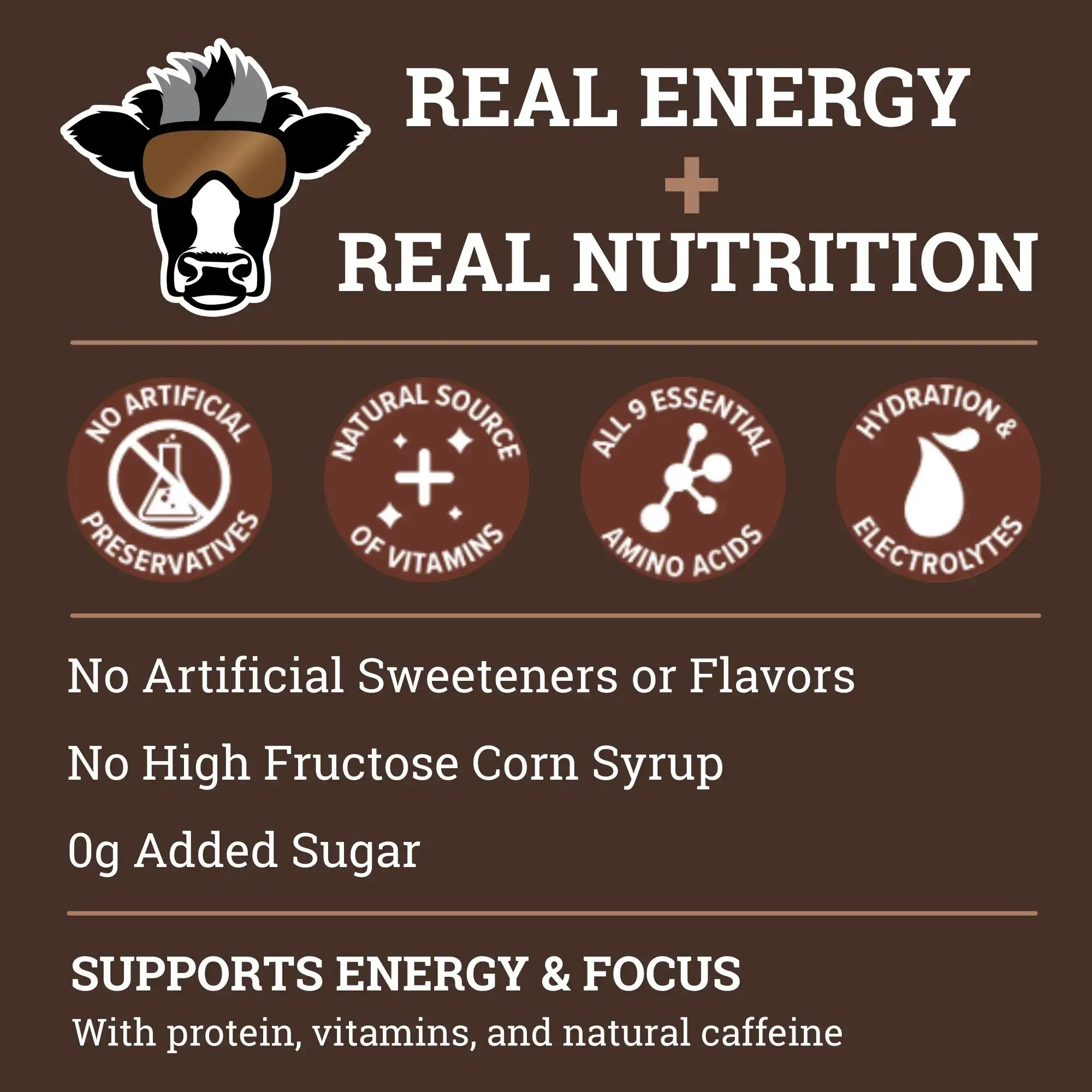 Dr. Cal's Energized Milk Chocolate Milk Energy Drink - 12PK
