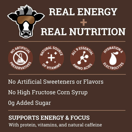 Dr. Cal's Energized Milk Chocolate Milk Energy Drink - 12PK