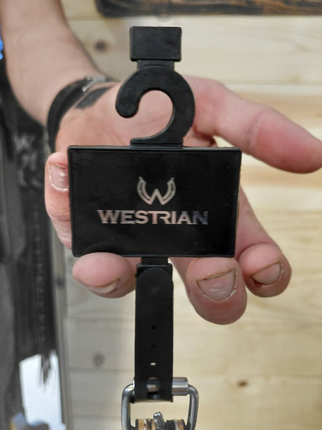 Westrian Beaded Leather Dog Leash