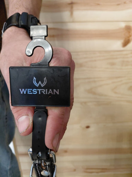 Westrian Beaded Black Leather Dog Leash