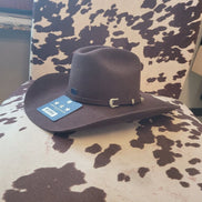 Brown Cowboy Hat
