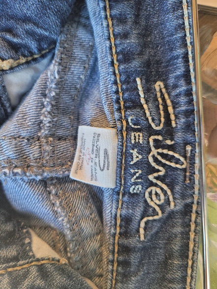 Silver Jeans Flared Denim Pants