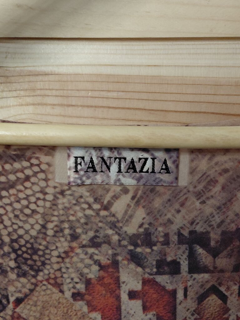 Fantazia Western Style Tunic