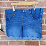 Time and Tru Women's Denim Shorts