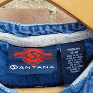 Santana Striped Denim Shirt