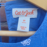 Cat & Jack Blue Dress for Children