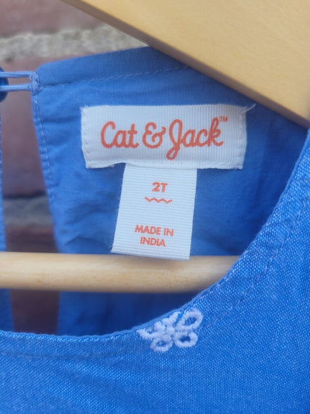 Cat & Jack Blue Dress for Children