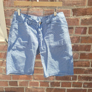 Eddie Bauer Men's Blue Shorts