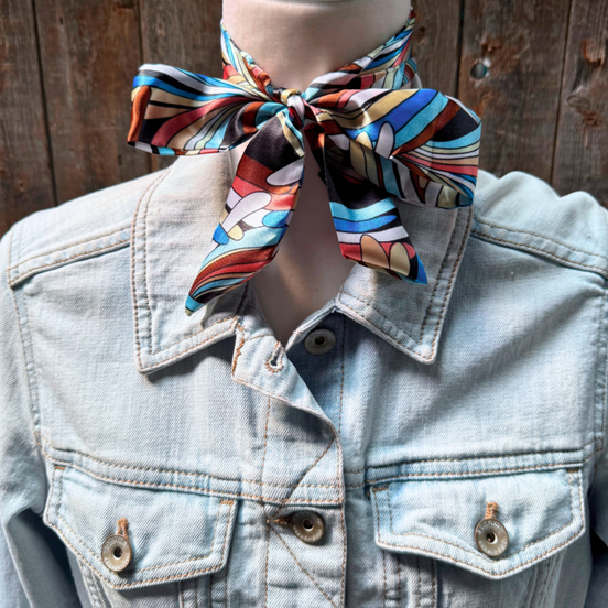 Blue and Brown Western Skinny Mini Wild Rag Scarf / Cowgirl Necktie #TW317
