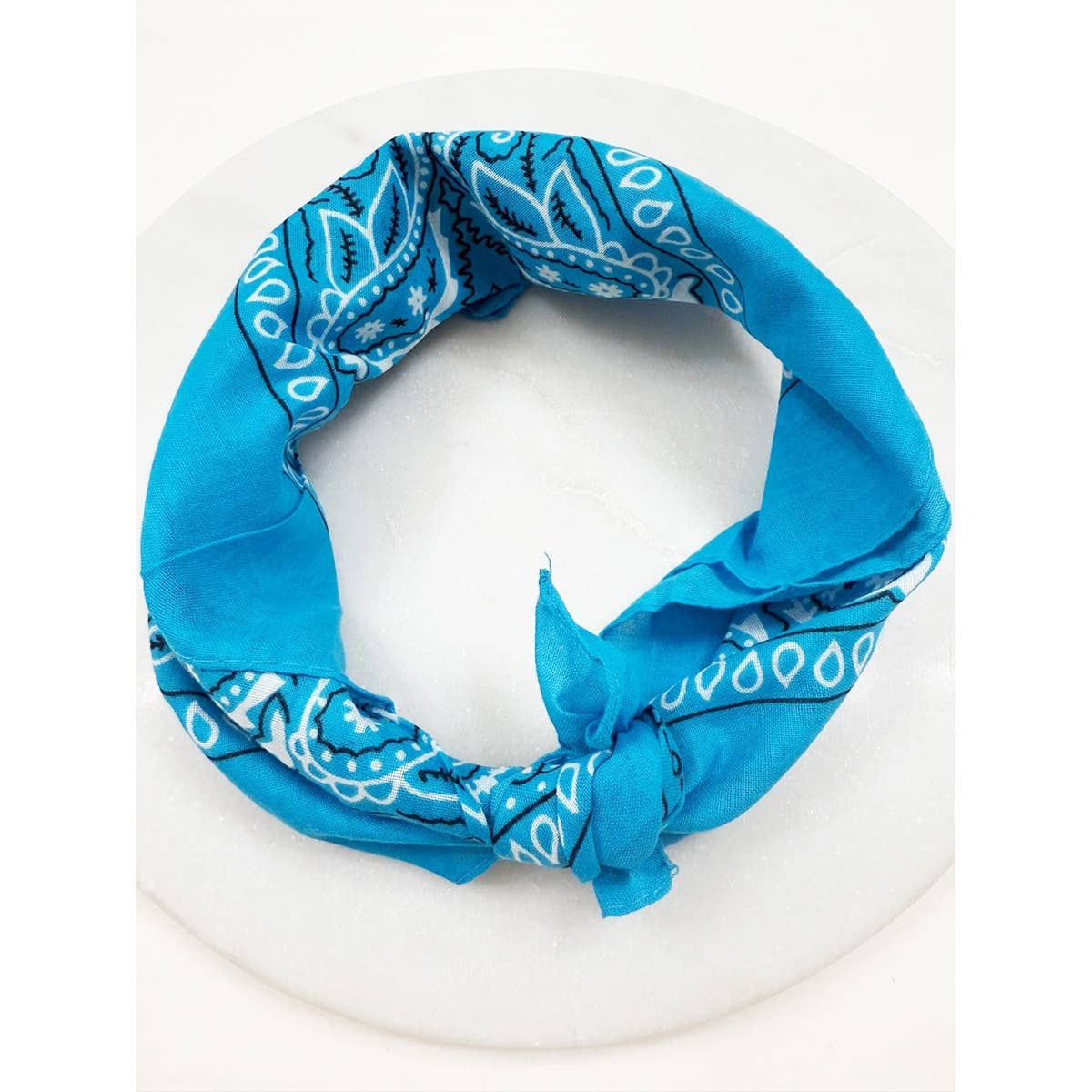 BLUE Pasley Pattern Bandanas: BLUE / ONE(12)