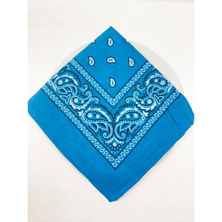 BLUE Pasley Pattern Bandanas: BLUE / ONE(12)